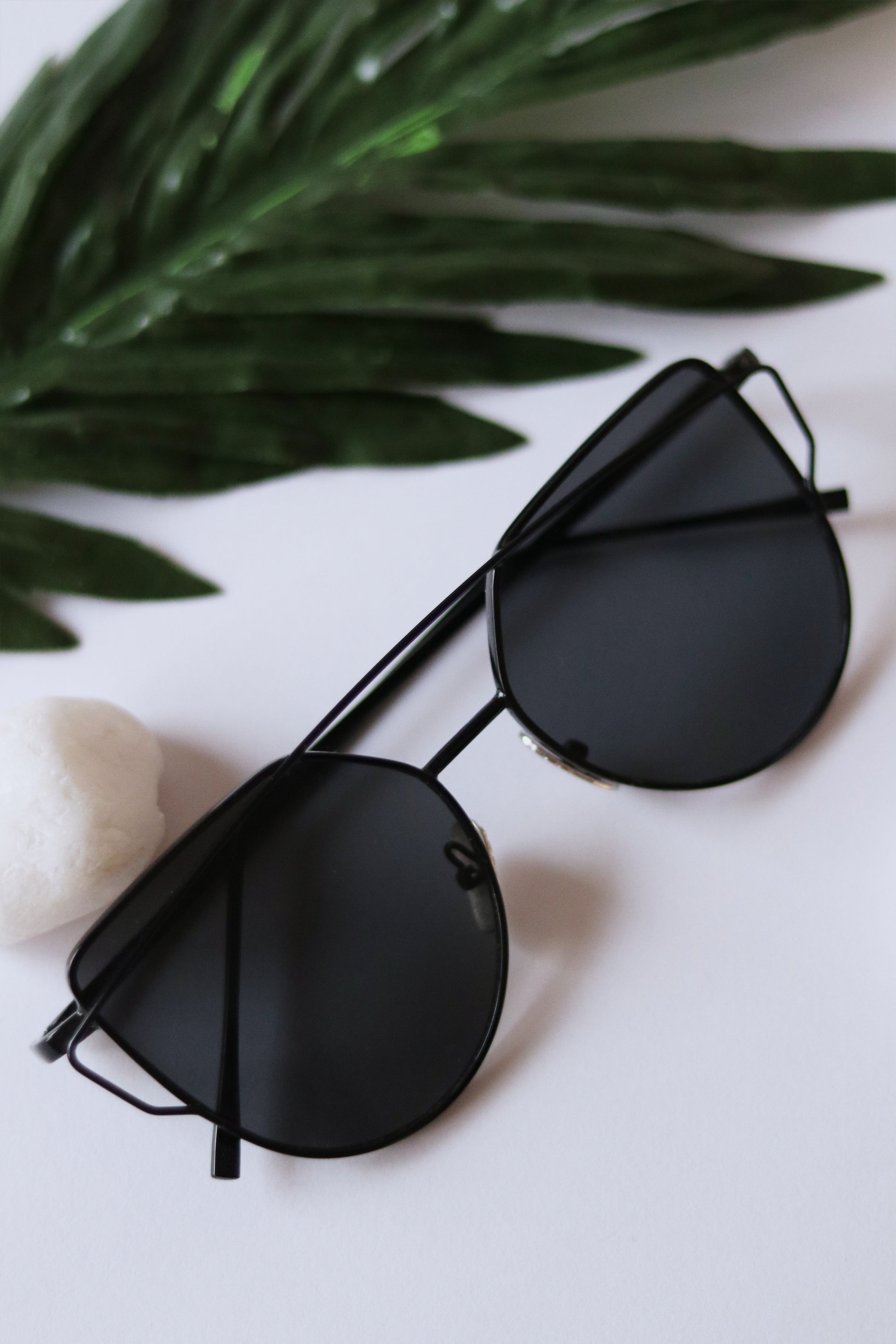 Top Rim Sunglasses - keos.life