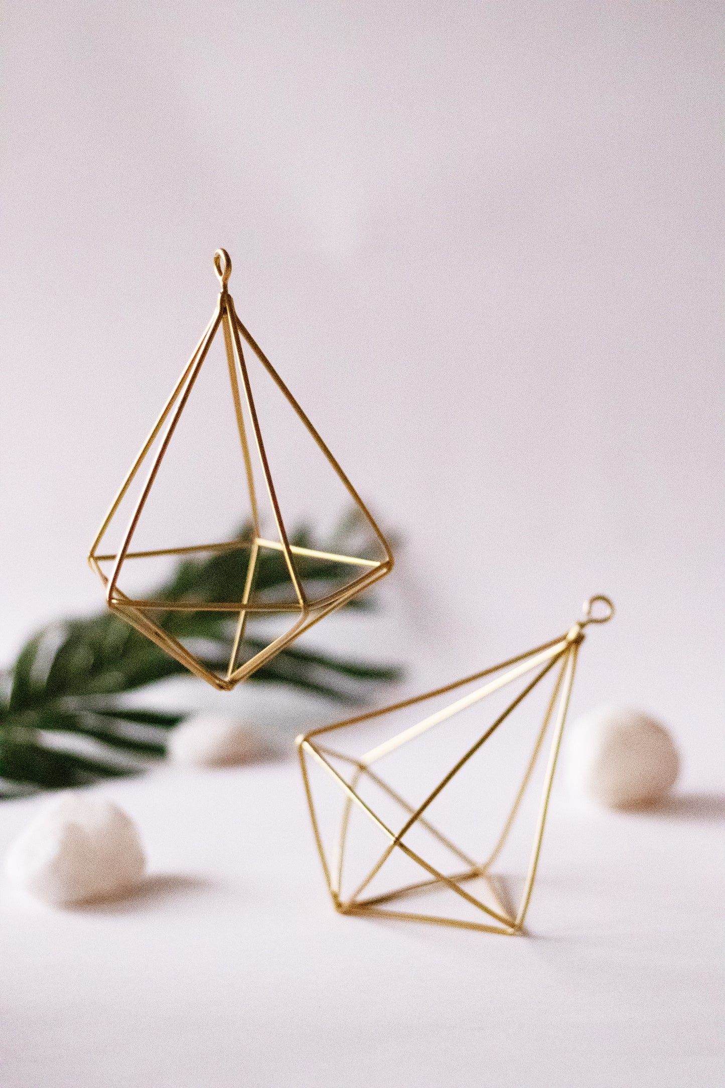 Terrariums - keos.life