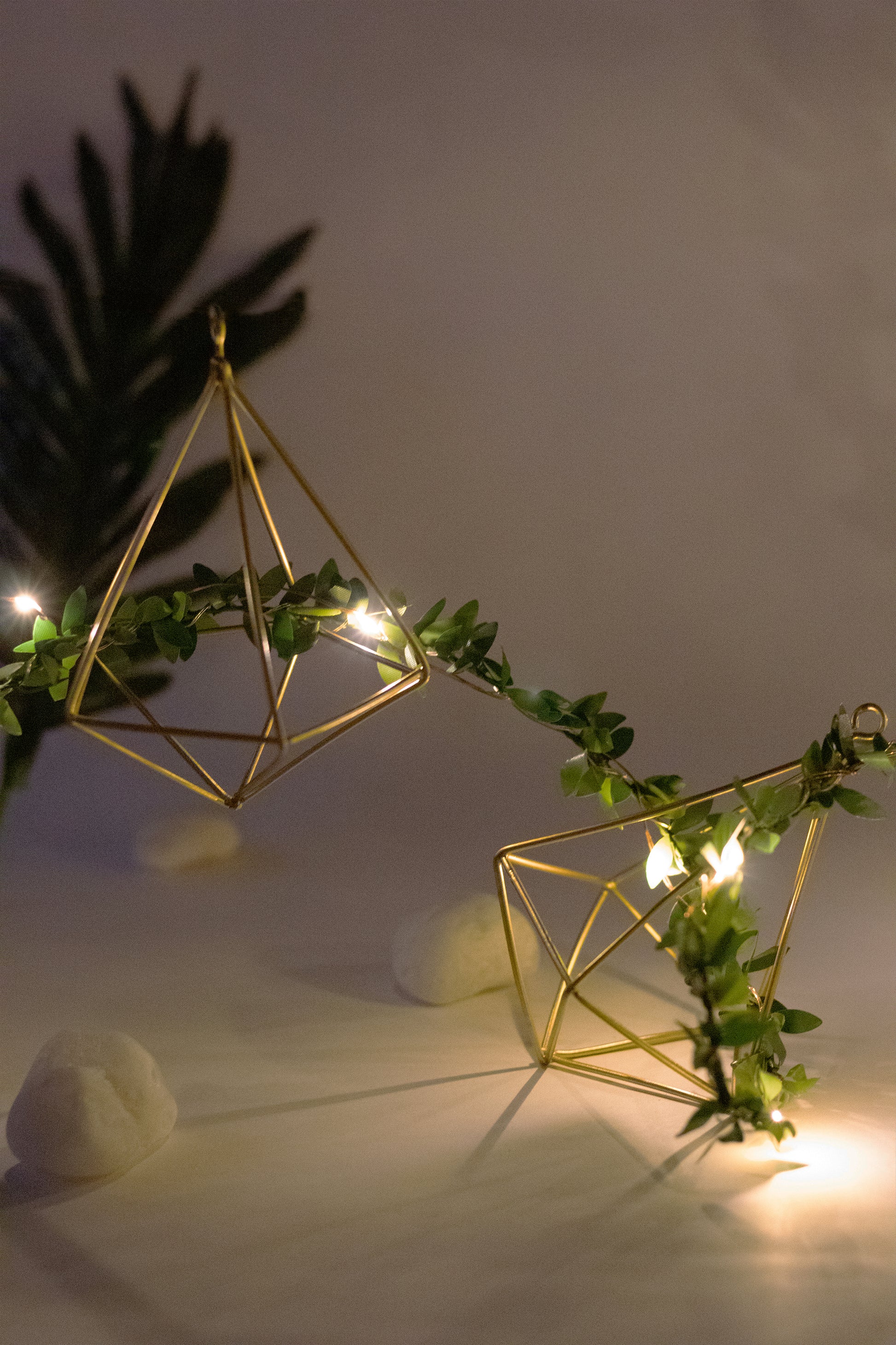 Terrariums - keos.life